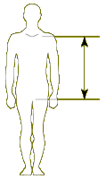 height