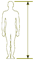 height