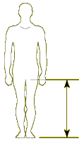 height