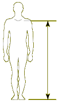 height