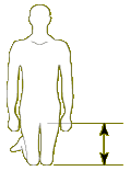 height